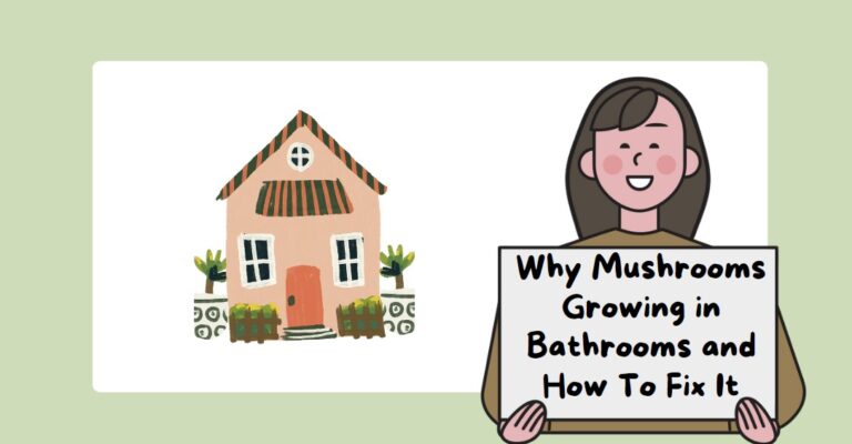 Why Mushrooms Growing in Bathrooms and How To Fix It